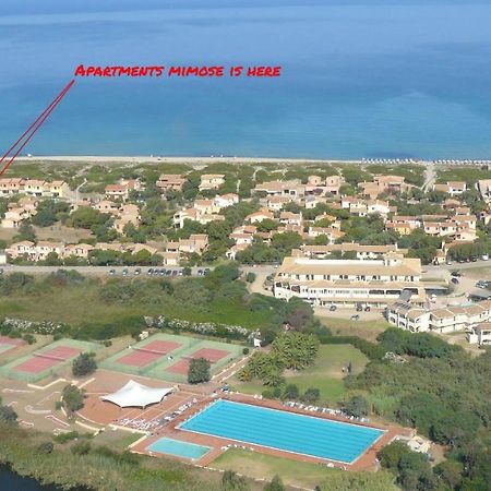 Apartments Mimose 巴德希 外观 照片