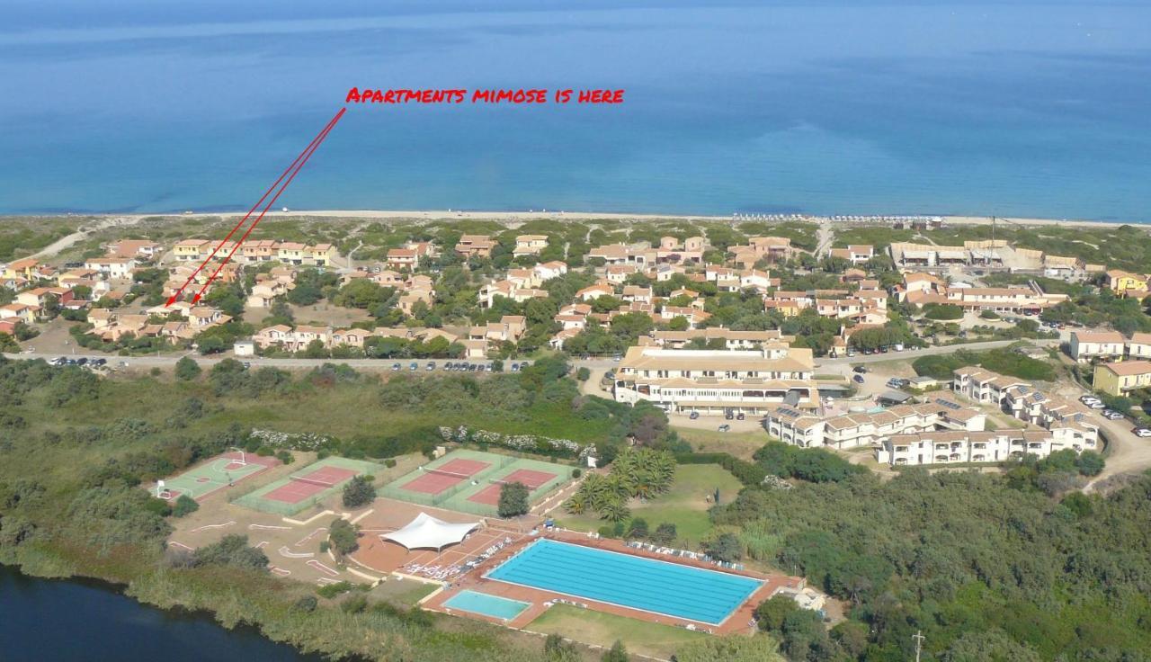 Apartments Mimose 巴德希 外观 照片